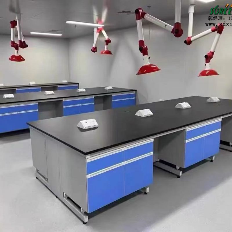 山东滨州试验台实验台通风柜厂家定做