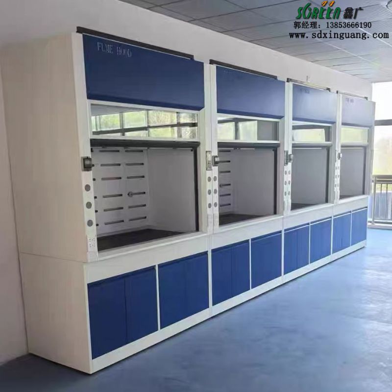 山东实验室设备全钢通风橱耐酸碱落地通风柜