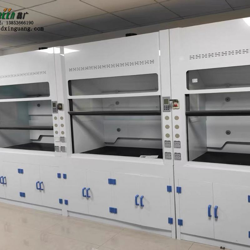 山东pp通风橱供应 实验台通风柜 通风柜厂家