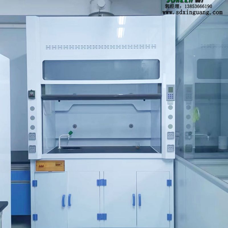 山东实验室家具pp通风柜化验室排风柜耐酸碱