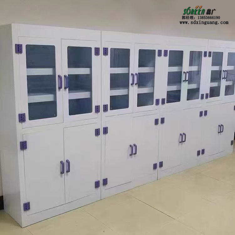 山东实验室器皿柜试剂强酸碱储存柜防腐蚀试剂柜