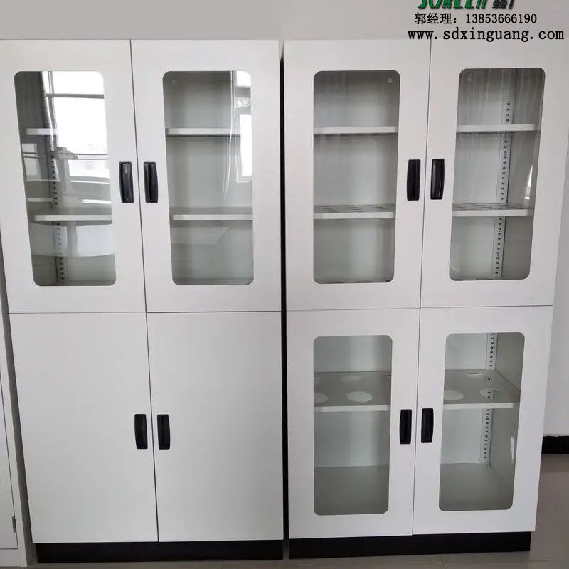 潍坊实验室家具实验室器皿柜存储柜供应