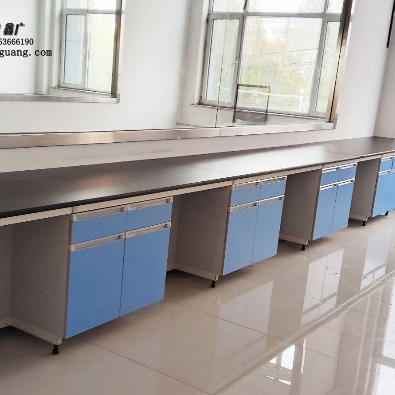 潍坊实验室实验台操作台化验室通风橱柜厂家