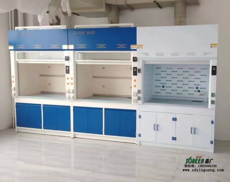 山东实验室通风柜生产通风橱供应实验台厂家