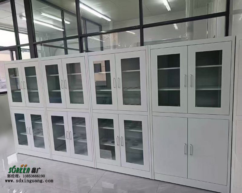 山东全钢试剂柜实验室器皿柜样品柜存储柜