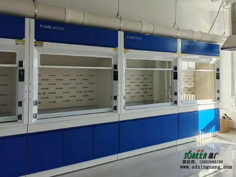 潍坊全钢通风柜工作台通风橱化验台PP排风柜厂家