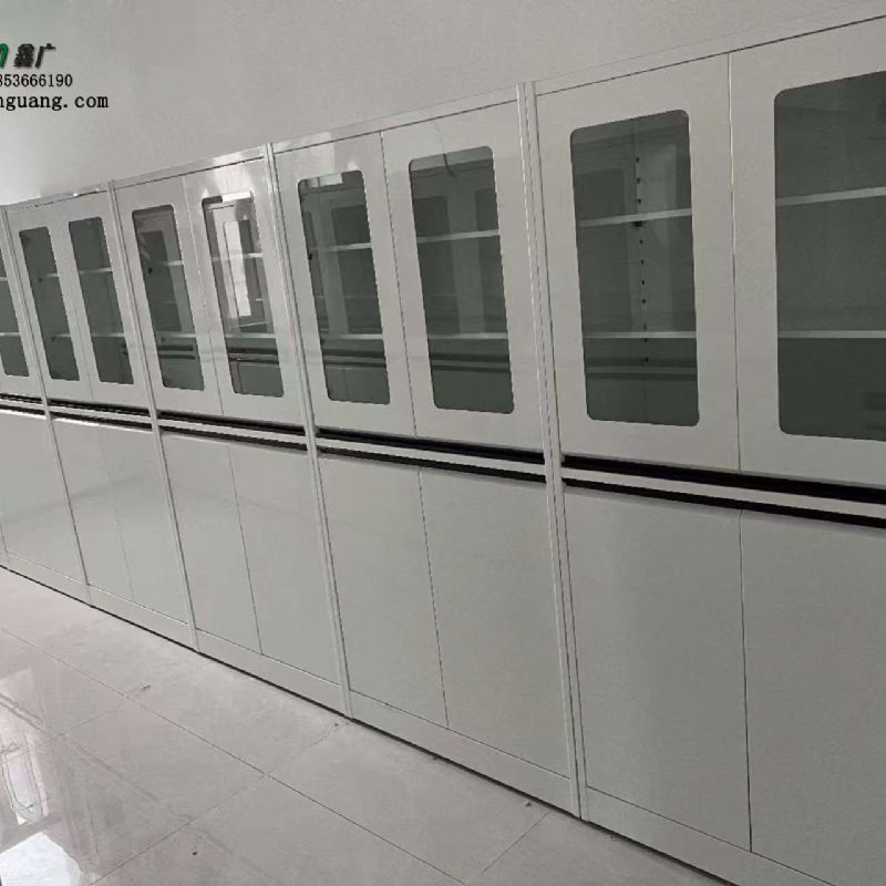 济南实验台厂家 全钢器皿柜 实验室试剂柜可定制