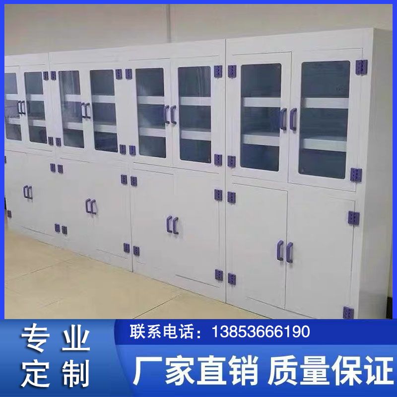 山东实验室家具pp器皿柜 实验室试剂柜生产