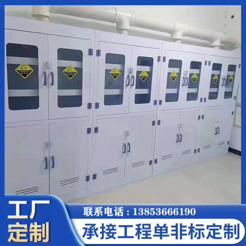 PP器皿柜 实验室试剂柜双锁防腐蚀器强酸碱储存柜