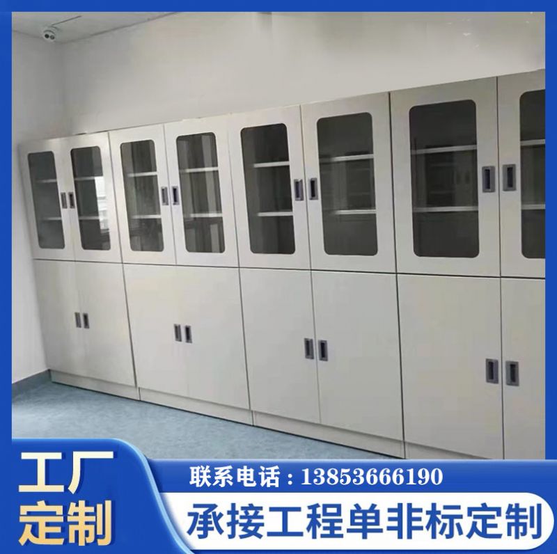 山东实验台厂家全钢器皿柜化学品柜 存储柜