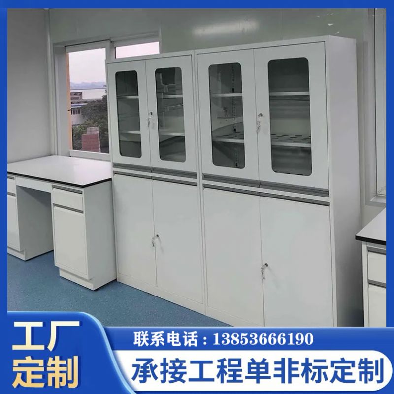 山东滨州实验台实验室器皿柜试剂柜厂家定制