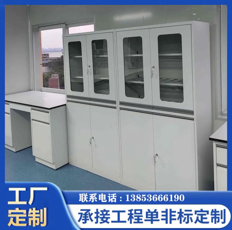 山东滨州实验台实验室器皿柜试剂柜厂家定制