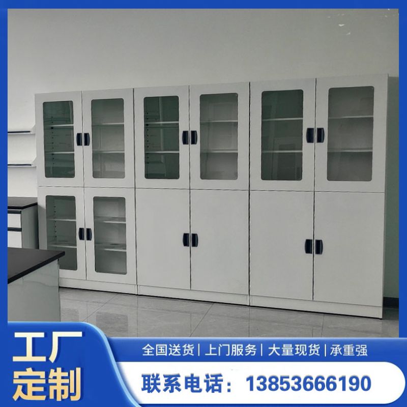 山东实验室设备实验室器皿柜 化验室试剂柜